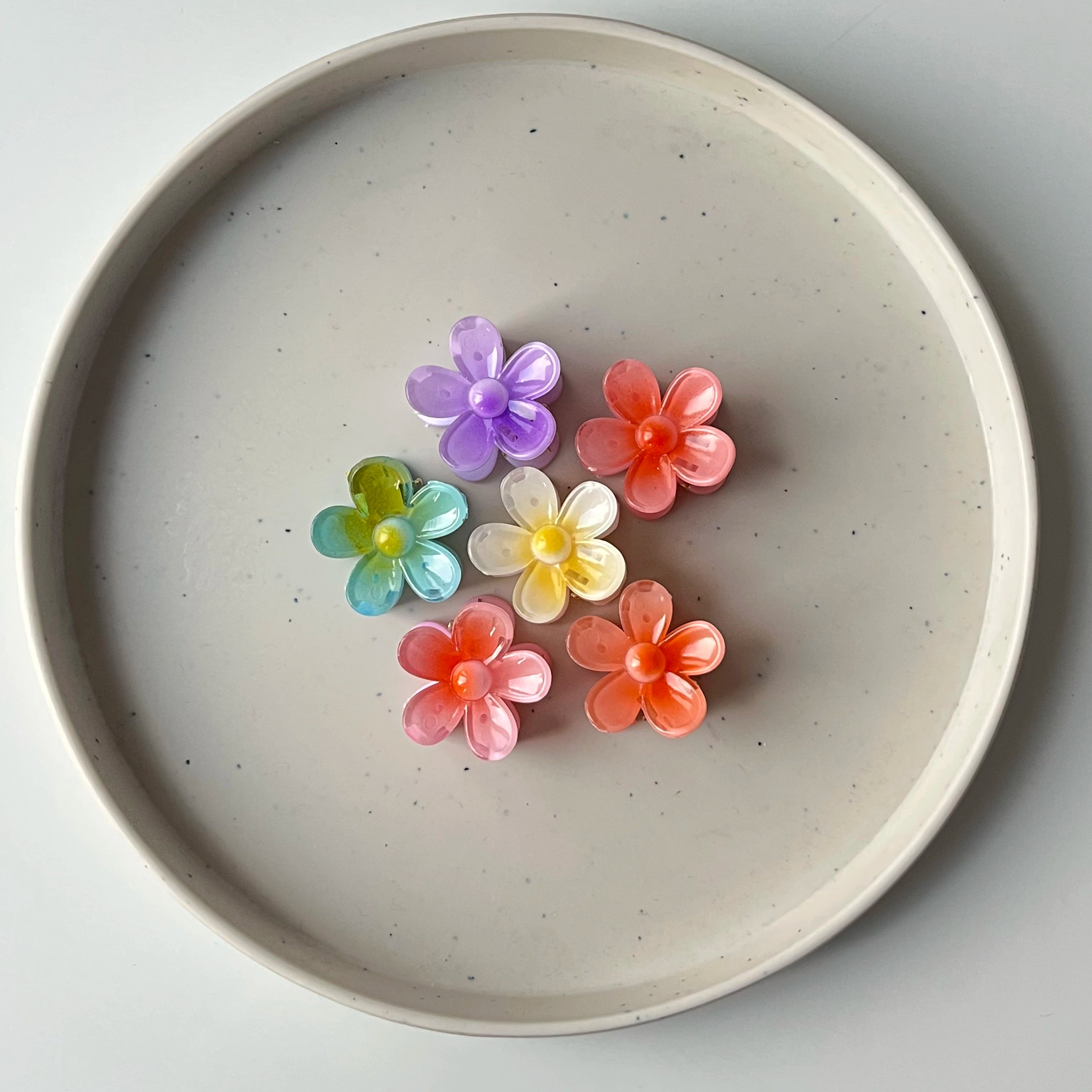 Petalia Claw Clip – Small (Vault Set of 6)